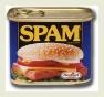 SPAM