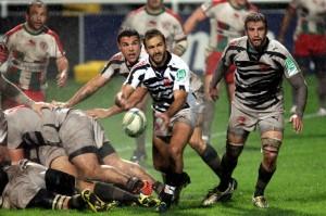 pro12 zebre