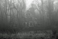 Fog-house-2