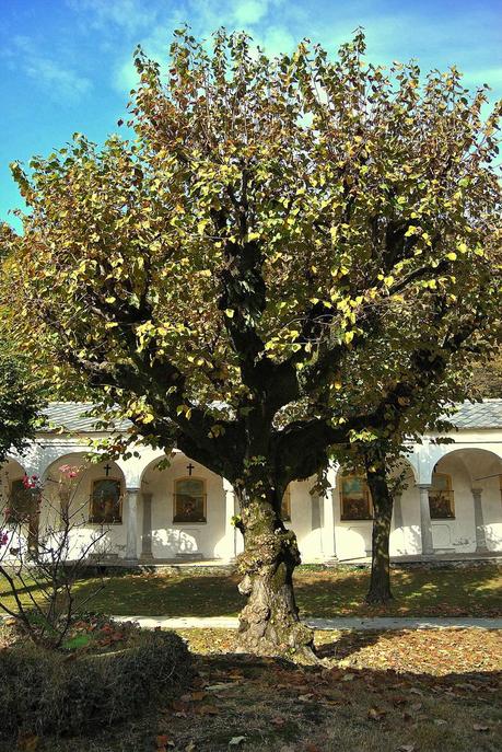 Il Sacro Monte di Ghiffa.