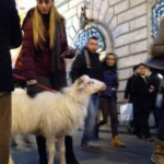 Roma, pecora al guinzaglio in via Condotti (foto)