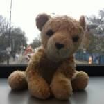 Bambina perde peluche sul treno: ritrovato grazie a catena su Twitter