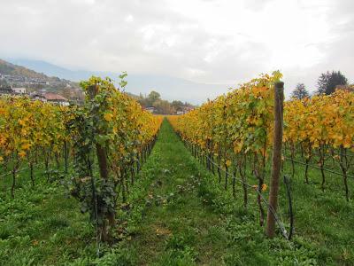 ANCOR ALTO ADIGE (STORIE DEL PICCHIO VERDE E DELLA PECORA-ELEFANTE)