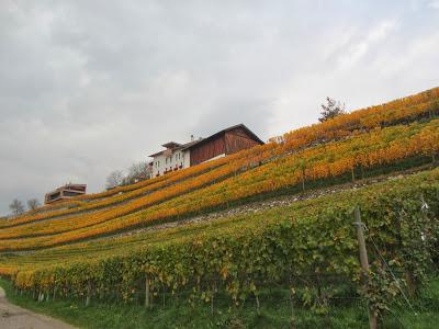 ANCOR ALTO ADIGE (STORIE DEL PICCHIO VERDE E DELLA PECORA-ELEFANTE)