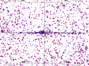 Com’è affollato cielo Swift