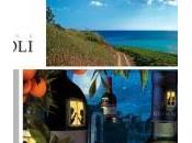 Cantine Settesoli offre stage formativi giovani laureandi laureati