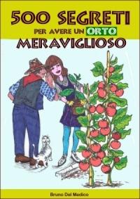 I POMODORI GIALLI. UNA CURIOSITA’ DA METTERE NELL’ORTO