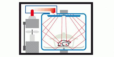 Cucinare con il microonde: qualche piccolo trucchetto