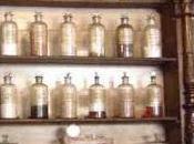 Oggi nella rubrica: polveri