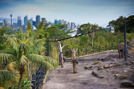 Taronga Zoo - Sydney, Australia