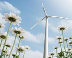 Rinnovabili: per Anev e Free spalma incentivi e' cappio per aziende del settore