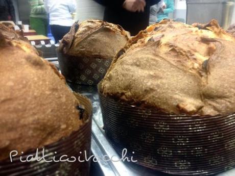 E finalmente lui, il Signor Panettone