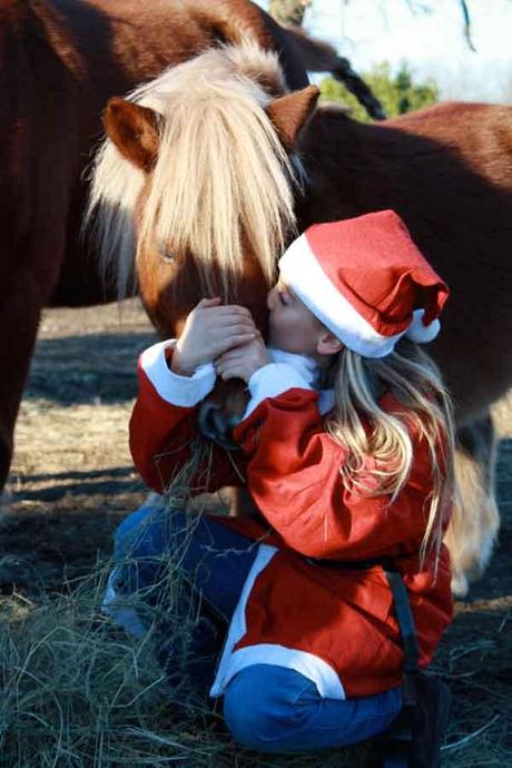 NEWS. Busto Arsizio – Vacanze di Natale: camp al maneggio per giovani cavallerizzi