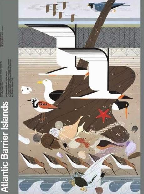 GLI INCREDIBILI POSTERS DI CHARLEY HARPER CON STRAORDINARI PATTERNS