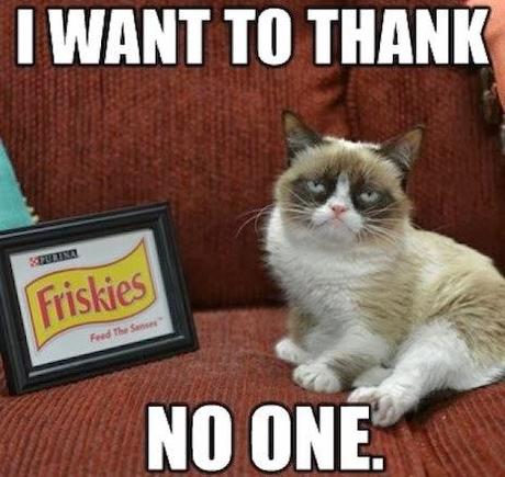 Friskies riunisce i gatti più famosi di Internet, Grumpy Cat è il suo testimonial... a fin di bene