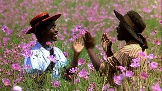 STEVEN SPIELBERG DAY: Il colore viola STEVEN SPIELBERG DAY: Il colore viola