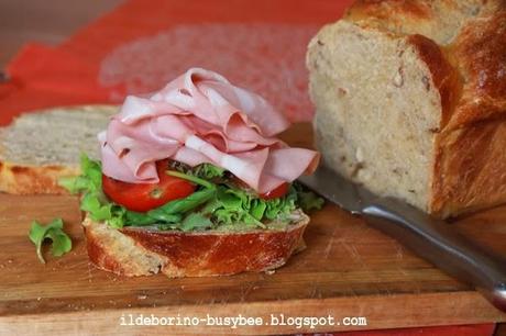 Esperimenti Ben Riusciti - Treccia con le Noci in Cassetta or Walnut Bread