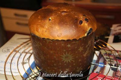 Panettone