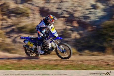 Yamaha YZ 450F Rally C.Despres Dakar 2014