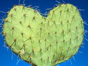 Olio Cactus, novità Cosmetique