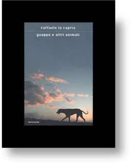 Ignazio Apolloni ■ La pietas del guappo