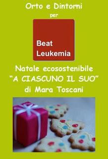 copertina ricettario natale ecosostenibile di mara toscani per beat leukemia