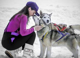 NEWS. DOLOMITI.IT: slitta e slittino, i trend sulla neve. Idee originali per divertirsi slittando a Plan de Corones, in Val di Fassa, in Val di Sole e sulle Dolomiti di Brenta.