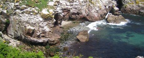 Le Saltee Islands, le isole del tesoro!