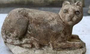 Il Gatto: la sua domesticazione avvenne in Cina 5500 anni fa