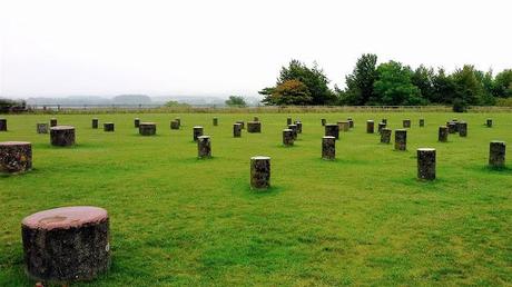 Visitare Woodhenge