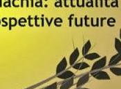 Oggi nella rubrica: intolleranza glutine, necessariamente celiachia, detossificare l'organismo
