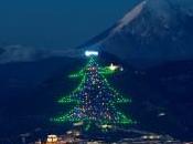 L’albero Natale Gubbio: l’albero grande mondo