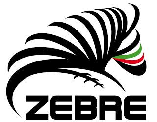 Le Zebre impegnano Ulster a Belfast