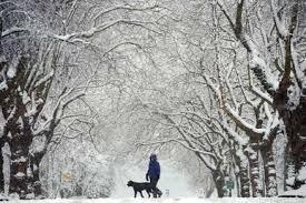 Christmas storm, Tempesta di Natale, neve e venti forti 