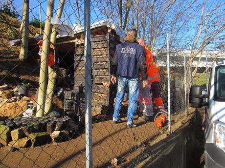 Vi ricordate la baracca a Tor Bella Monaca che avevamo segnalato qualche giorno fa con tanto di pollaio nell'area giochi per bambini? I Pics sono intervenuti...