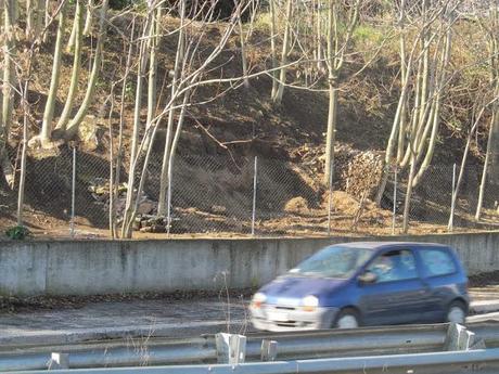 Vi ricordate la baracca a Tor Bella Monaca che avevamo segnalato qualche giorno fa con tanto di pollaio nell'area giochi per bambini? I Pics sono intervenuti...