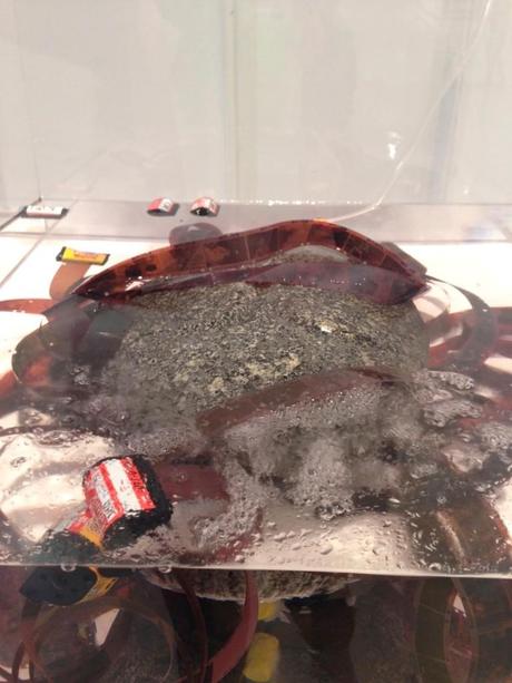 NEWS. NEVERLAND project economARt www.amyd.it