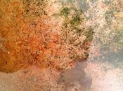 NEWS. NEVERLAND project economARt www.amyd.it