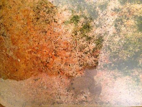 NEWS. NEVERLAND project economARt www.amyd.it