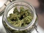 Marijuana contro danni cerebrali