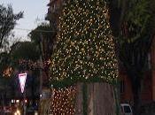 L'albero-presepe 2013