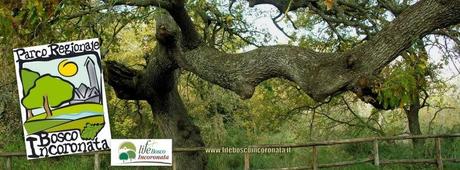 Parco regionale di Bosco Incoronata riperimetrato...senza la conferenza dei servizi