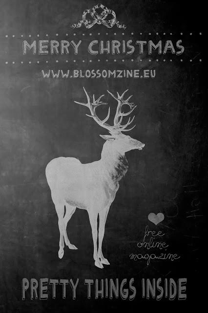 Merry Christmas da tutta la redazione di Blossom zine