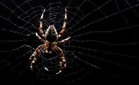 “Il rinnovo”. Un racconto inedito di Vladimir Di Prima