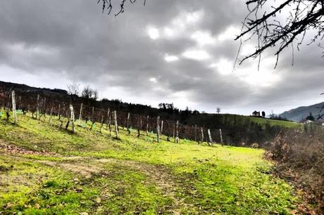 In Piemonte ovvero...Langhe