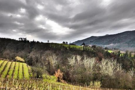 In Piemonte ovvero...Langhe