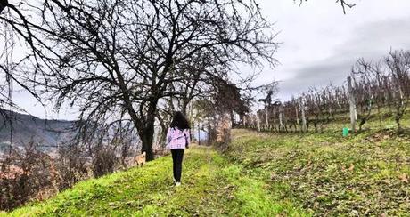 In Piemonte ovvero...Langhe