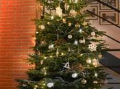 albero nordico Natale VERDE