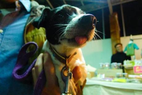 555319_264654277026816_1699117038_n