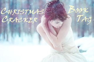 Christmas Cracker Book Tag